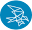 falconmarketing.com