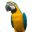 feathersandscalesfreight.com.au