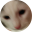 fed.cat