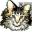felinediabetes.com