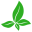 ff.ua