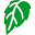 ficus.tv