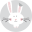 fifishop.pl