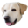 filipesilvestre.com