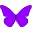 fillersmarket.com