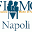 fimmgnapoli.it