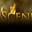 firstonscenephotos.com