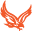 fish-hawk.net