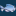 fishprofiles.com