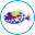 fishtanksdirect.com