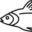 fishwrapwriter.com