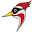fjrcw.com