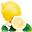 flair-shop.jp