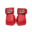 flashboxinggym.com