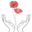 flaviearnou.com