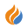 flintinc.co.jp