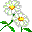 flora.am