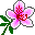 flora.dn.ua