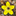 floraofqatar.com
