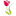 floresnet.com.br