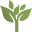 floresta.org