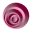 florflor.pt