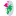 floridahealthsolution.com