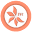 floridaveincare.com