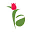 floweraura.com