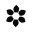 flowerglossary.com