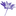 flowerphotos.com