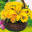 flowers-express.com.ua
