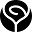 flowers.ae