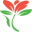 flowers4israel.com