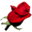 flowersfast.com
