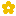flowershopflorists.com