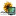 flowersvg.com