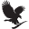 flpil.co.il