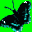flutterby.com
