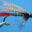 flyfishinguplandbirdhunting.com