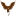 flyingcowdesign.com