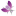 flymine.org