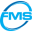 fmsts.com