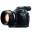 focusfilm.pl