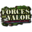 forcesofvalor.com