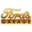 fordsgarageusa.com