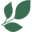 forestlaurel.com