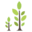 forestrysyndicate.com