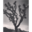 forninemusic.com