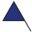 foxmountainguides.com